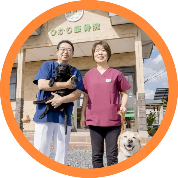 当接骨院看板犬